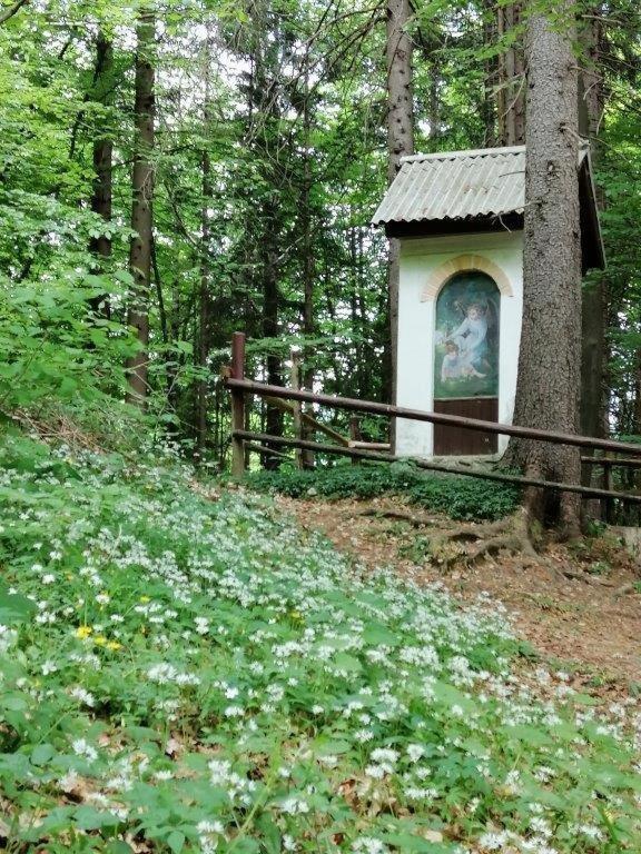 Wunderschone Ferienwohnung Mit Blick Auf Die Karawanken Zgornje Gorje Екстериор снимка