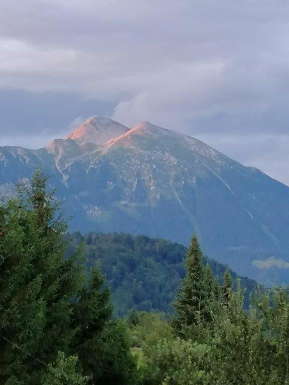 Wunderschone Ferienwohnung Mit Blick Auf Die Karawanken Zgornje Gorje Екстериор снимка