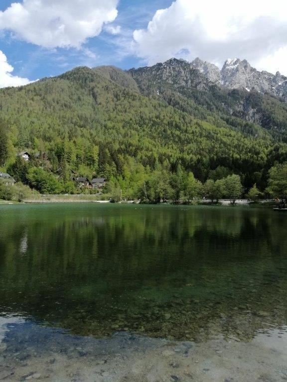 Wunderschone Ferienwohnung Mit Blick Auf Die Karawanken Zgornje Gorje Екстериор снимка