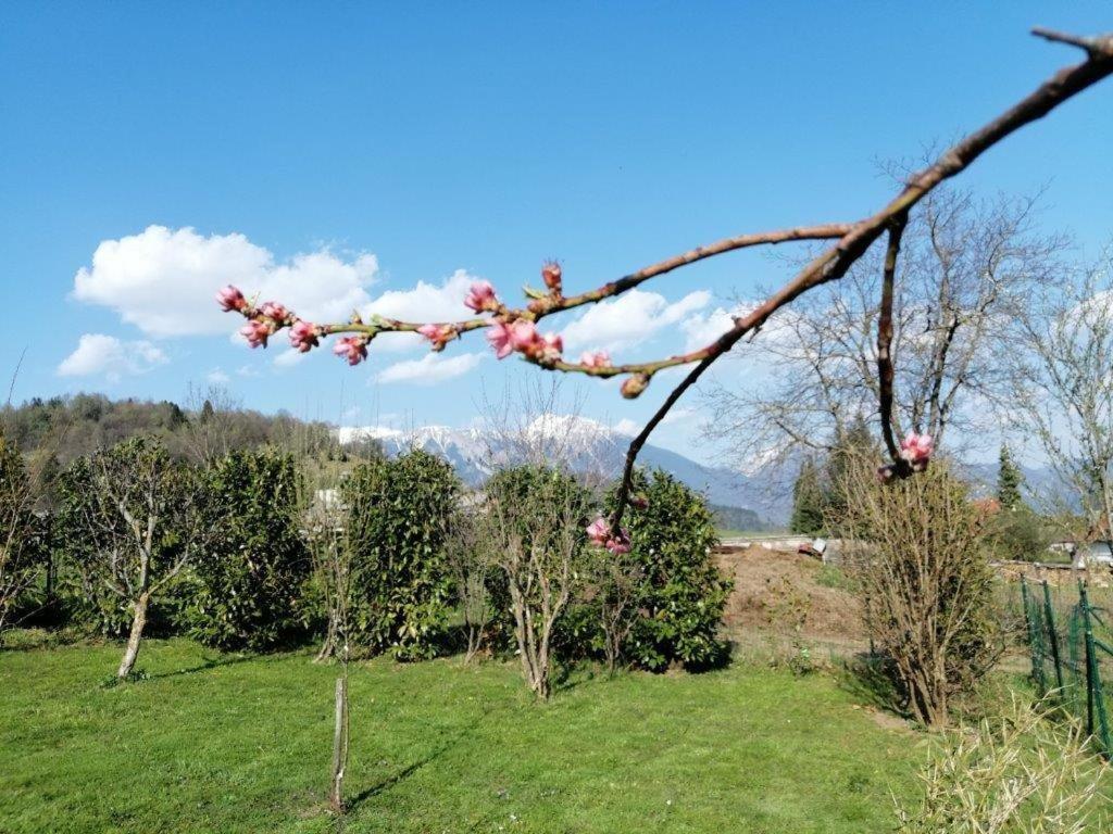 Wunderschone Ferienwohnung Mit Blick Auf Die Karawanken Zgornje Gorje Екстериор снимка