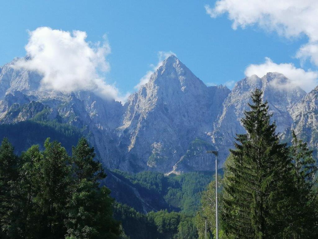 Wunderschone Ferienwohnung Mit Blick Auf Die Karawanken Zgornje Gorje Екстериор снимка